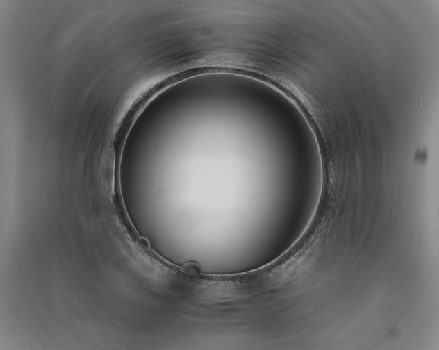 X0000091521123200708171211