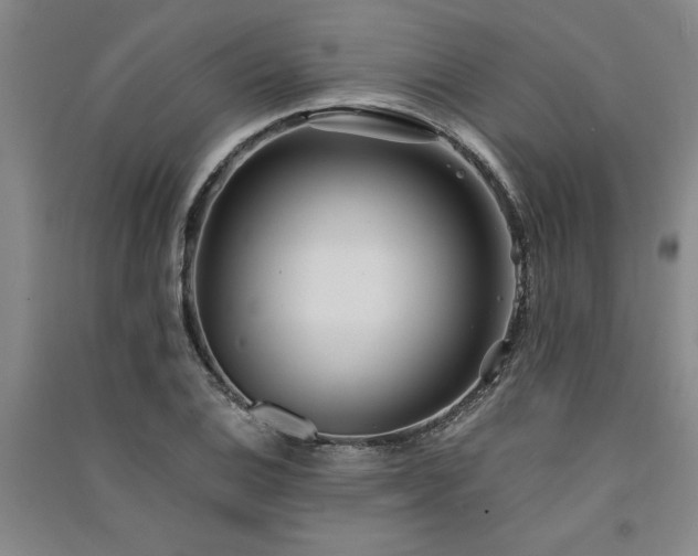 X0000091521124200708171211