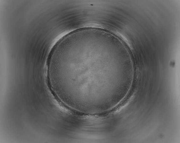 X0000091521125200708171211