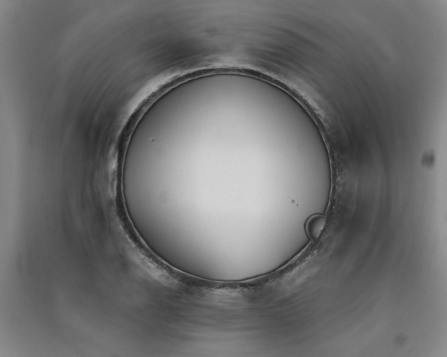 X0000091521126200708171211