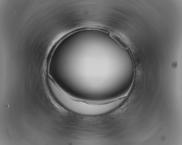 X0000091521128200708171211