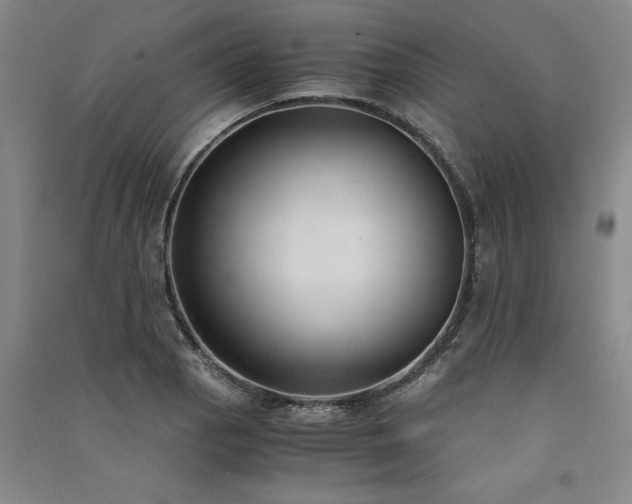 X0000091521129200708171211