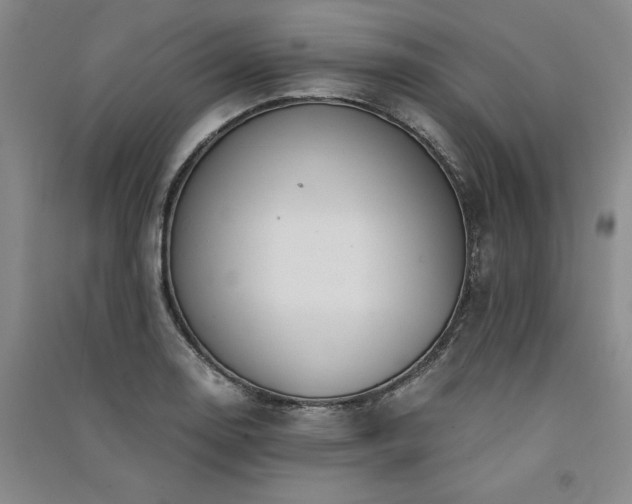 X0000091521130200708171211