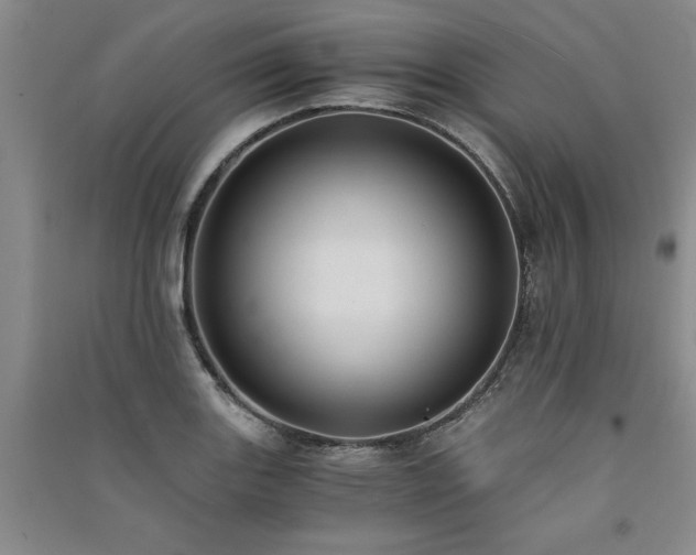 X0000091521131200708171211