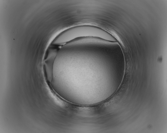 X0000091521132200708171211