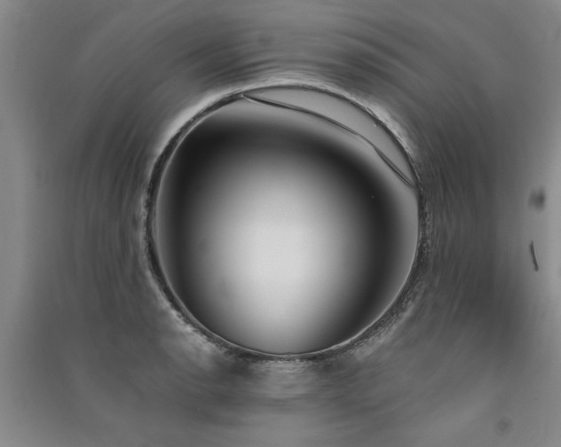 X0000091521134200708171211