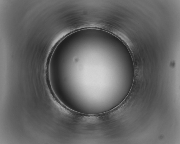 X0000091521135200708171211