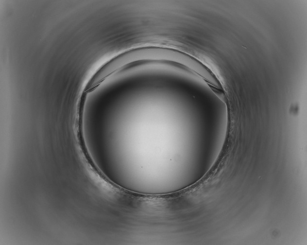 X0000091521136200708171211