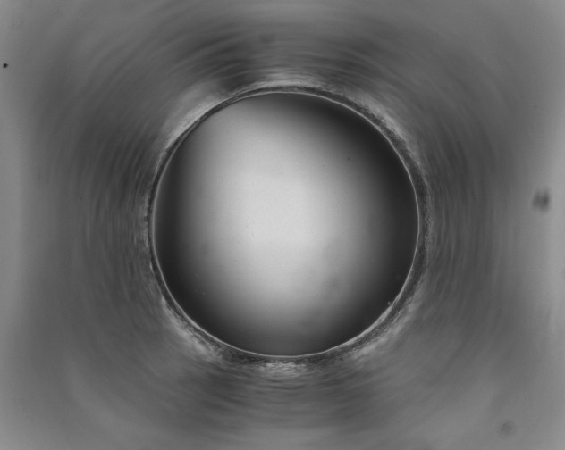 X0000091521137200708171211