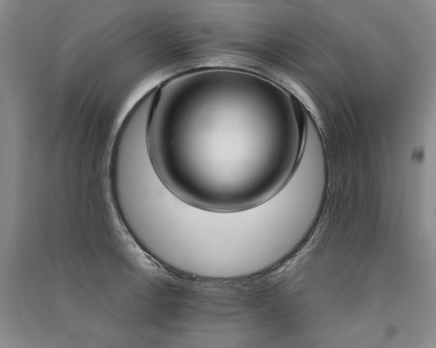 X0000091521138200708171211
