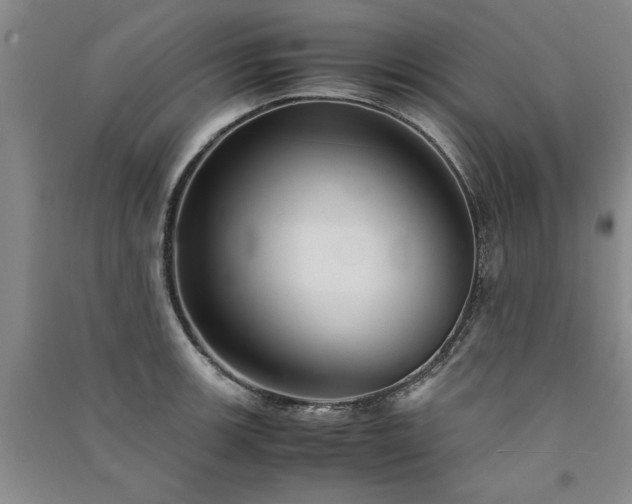 X0000091521139200708171211