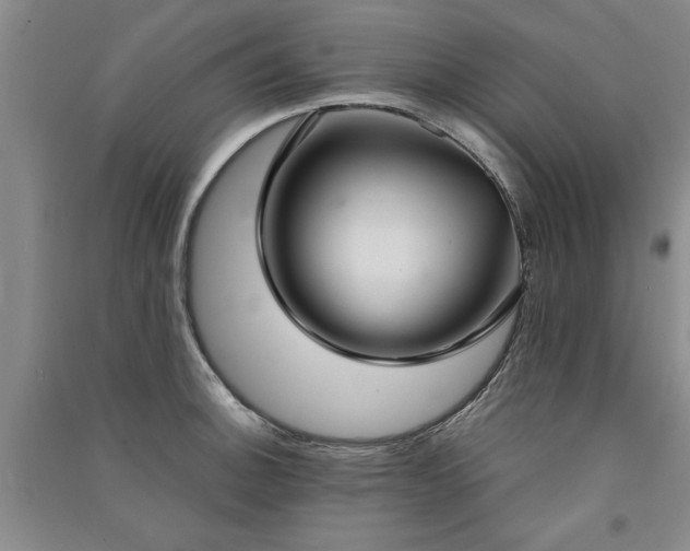 X0000091521140200708171211