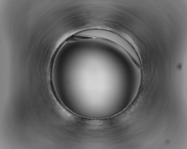 X0000091521141200708171211