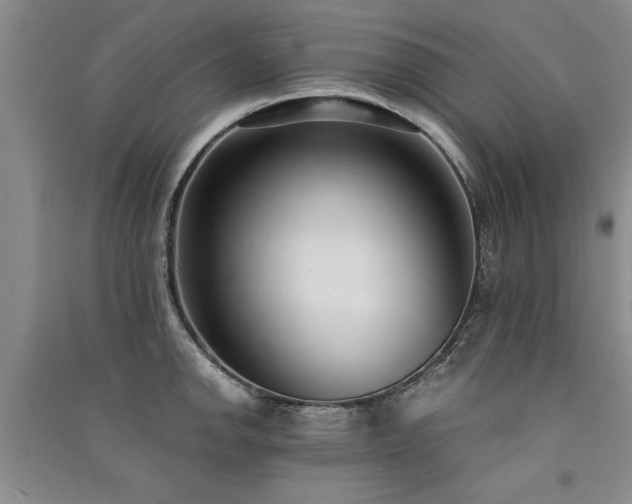 X0000091521142200708171211