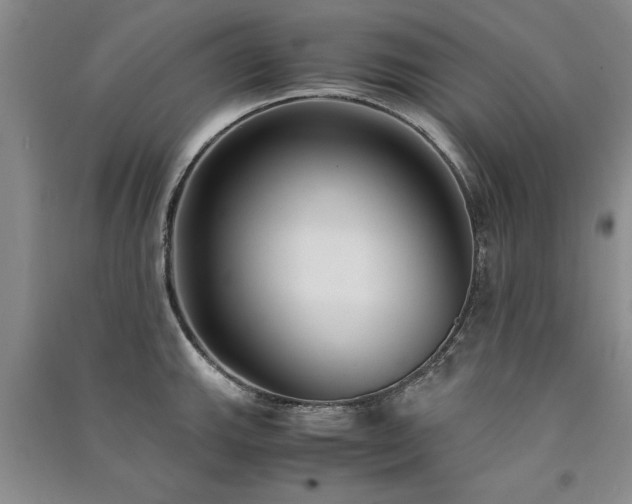 X0000091521143200708171211