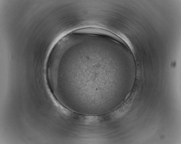 X0000091521144200708171211