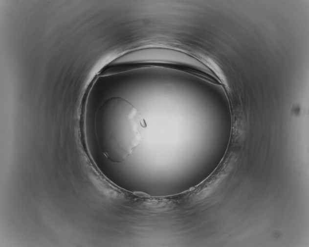 X0000091521146200708171211