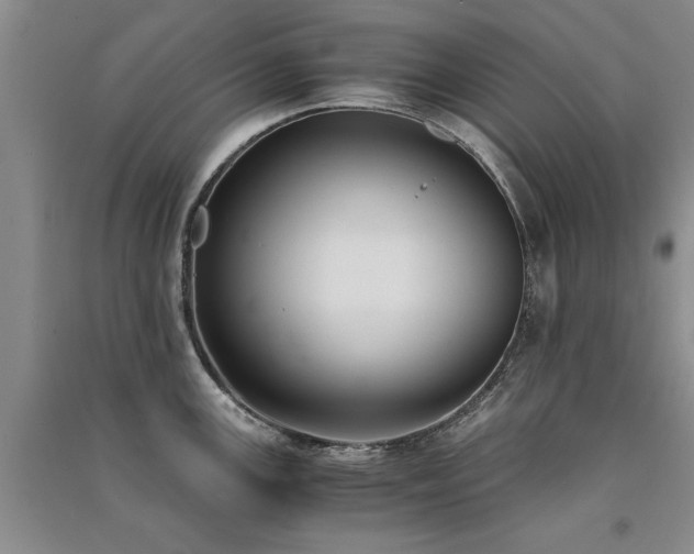 X0000091521147200708171211