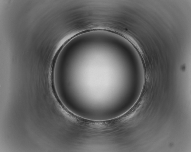 X0000091521149200708171211