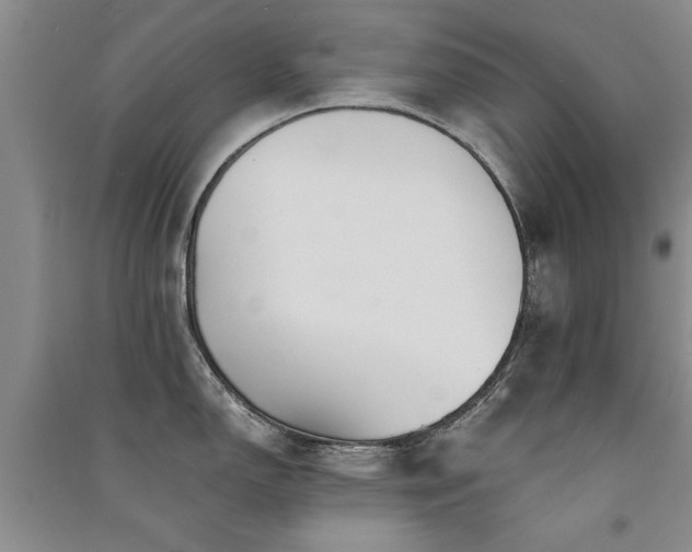 X0000091521150200708171211