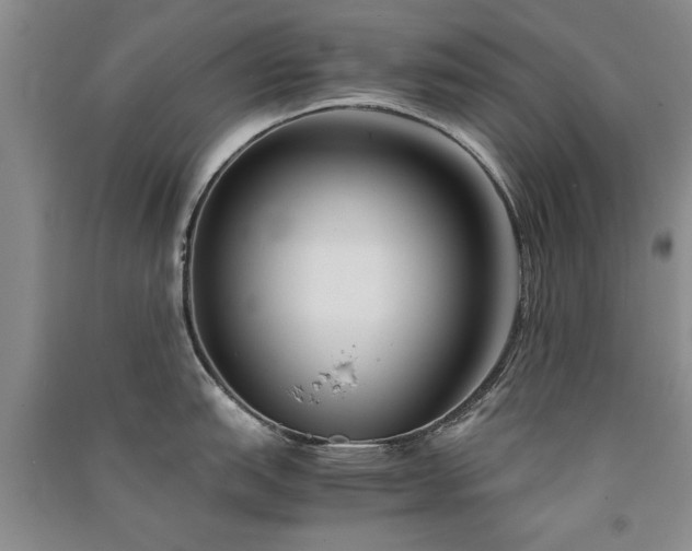 X0000091521151200708171211