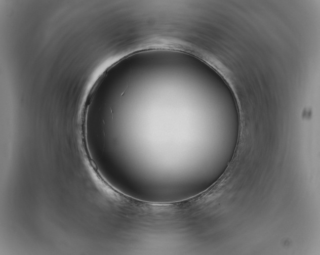 X0000091521152200708171211