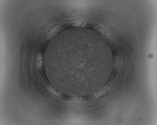 X0000091521154200708171211