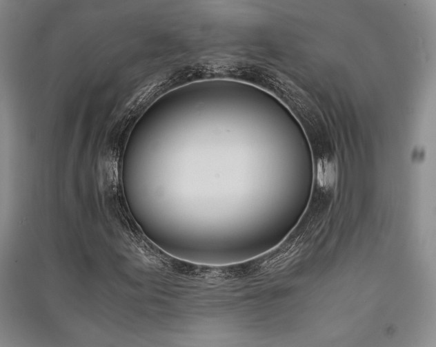 X0000091521155200708171211