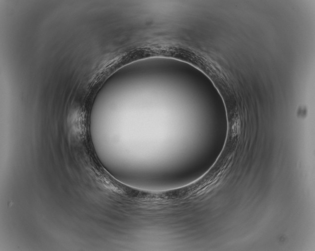 X0000091521156200708171211