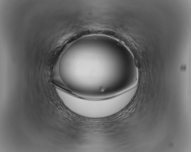 X0000091521157200708171211