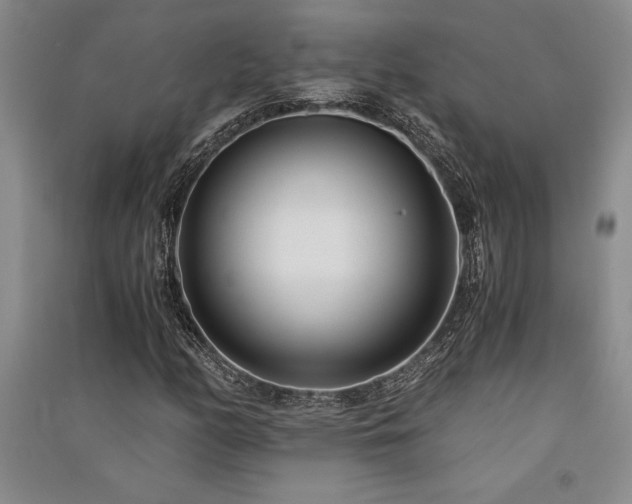 X0000091521158200708171211