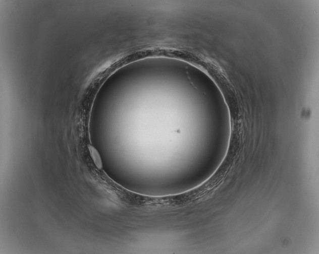 X0000091521159200708171211