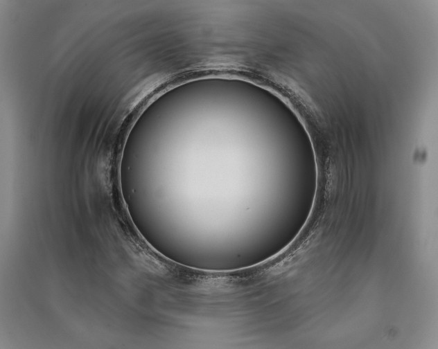 X0000091521162200708171211