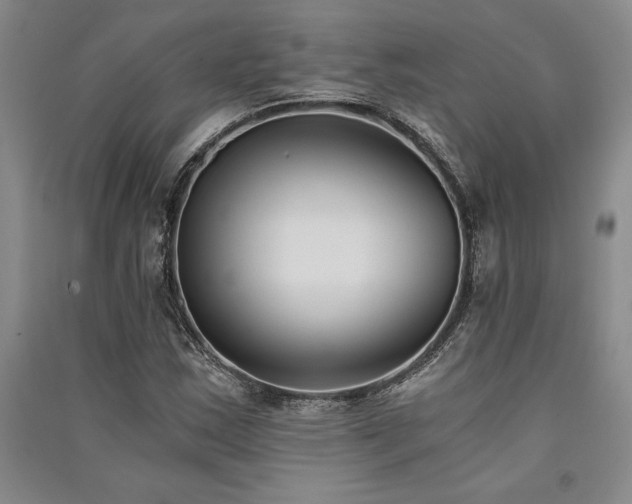 X0000091521163200708171211