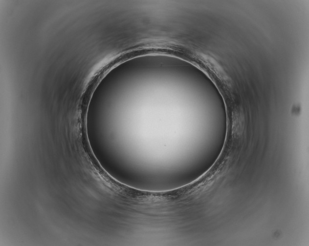 X0000091521164200708171211