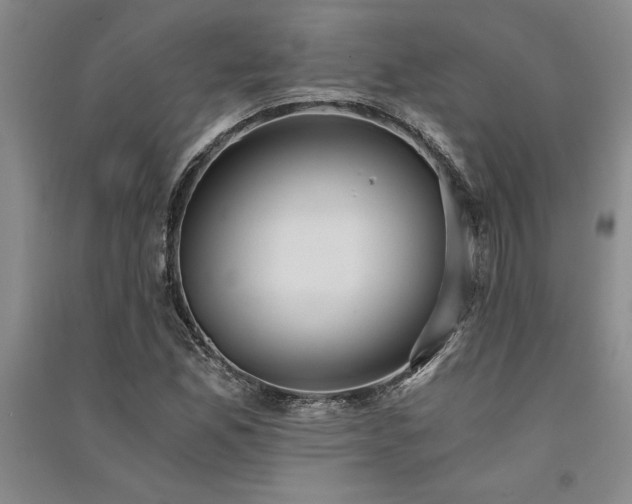 X0000091521165200708171211