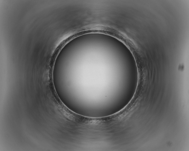 X0000091521166200708171211