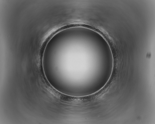 X0000091521167200708171210