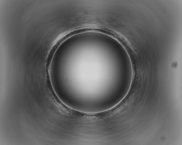 X0000091521168200708171210