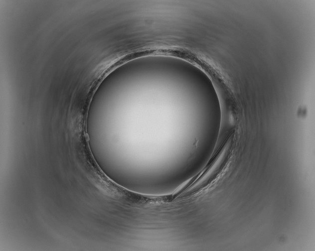 X0000091521169200708171210