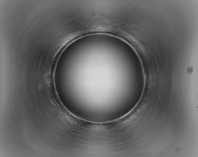 X0000091521170200708171210