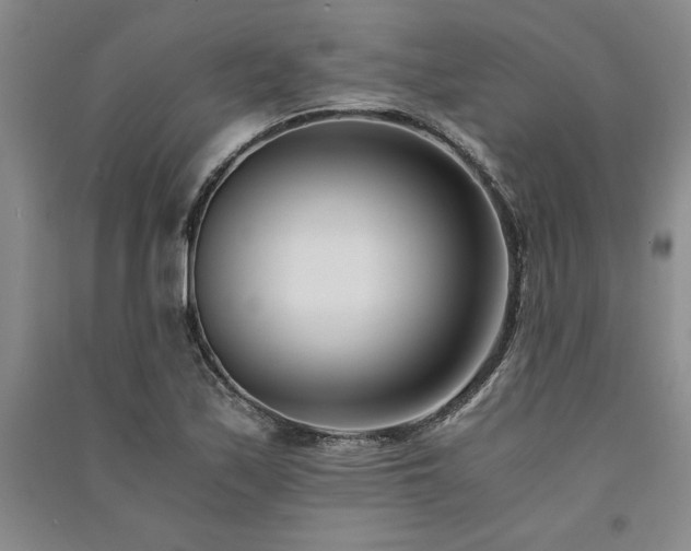 X0000091521171200708171210