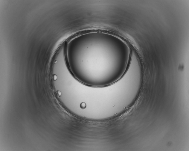 X0000091521172200708171210