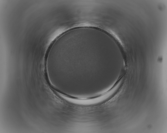 X0000091521173200708171210