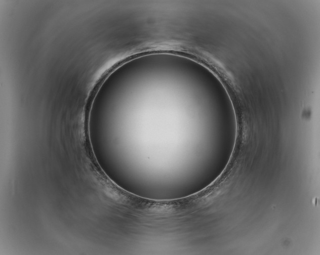 X0000091521174200708171210