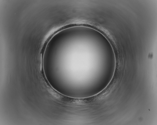 X0000091521175200708171210
