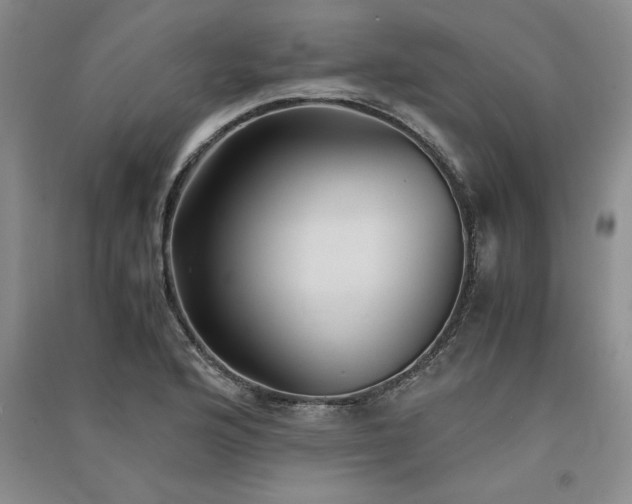 X0000091521176200708171210