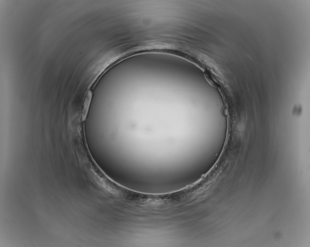 X0000091521177200708171210