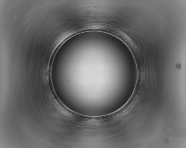 X0000091521178200708171210