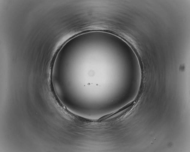 X0000091521179200708171210